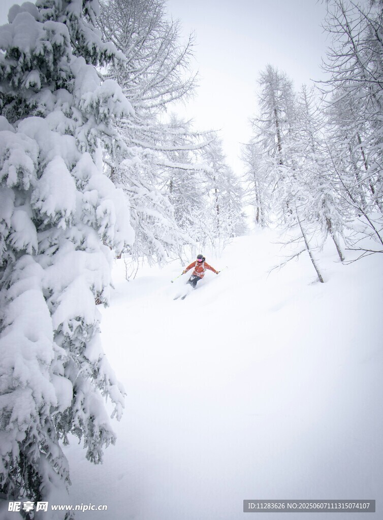 雪地中单人滑雪的美丽景象
