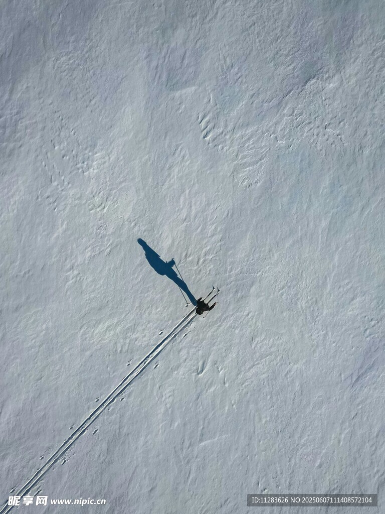 雪地上滑雪的人