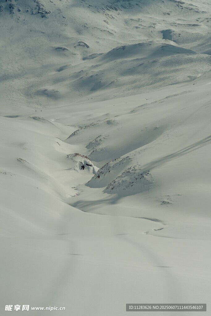 广袤雪地中的起伏地貌