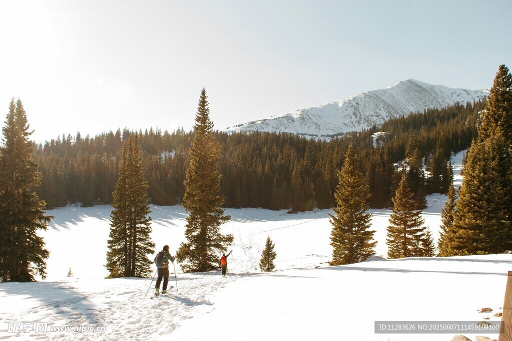 冬日雪林漫步美景