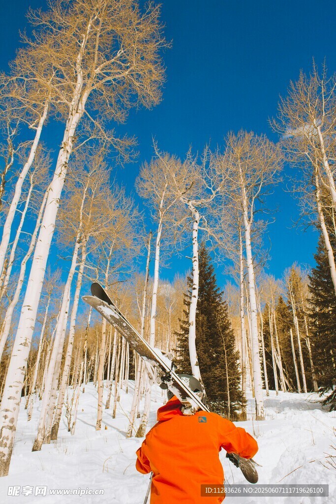 雪地中扛着滑雪板的红衣人