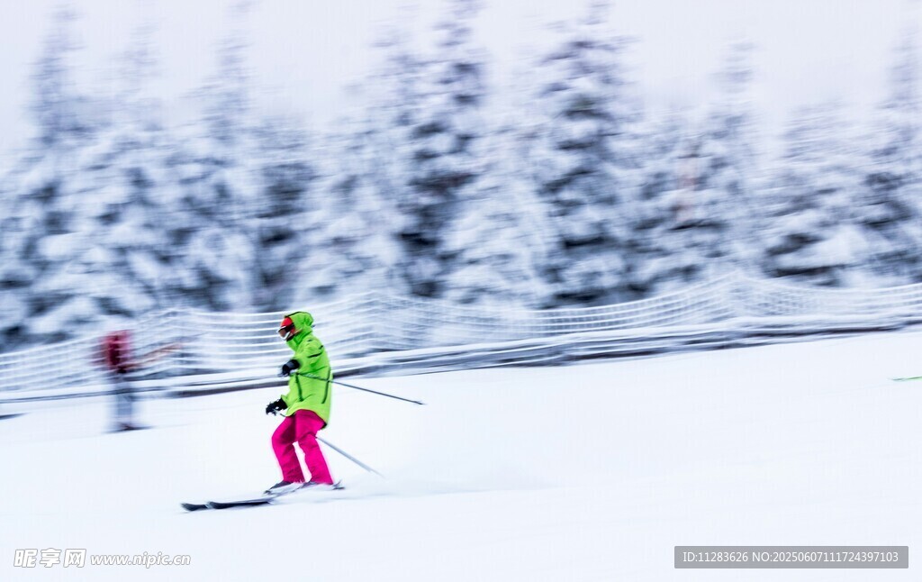 儿童在雪地中滑雪