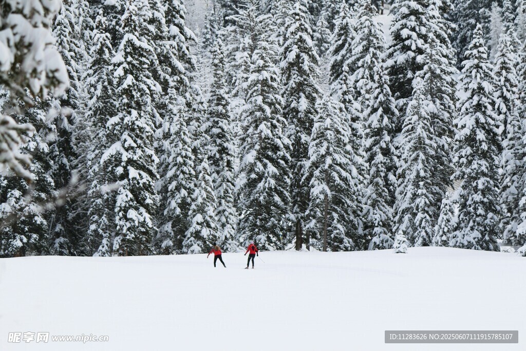 雪地中漫步的两人