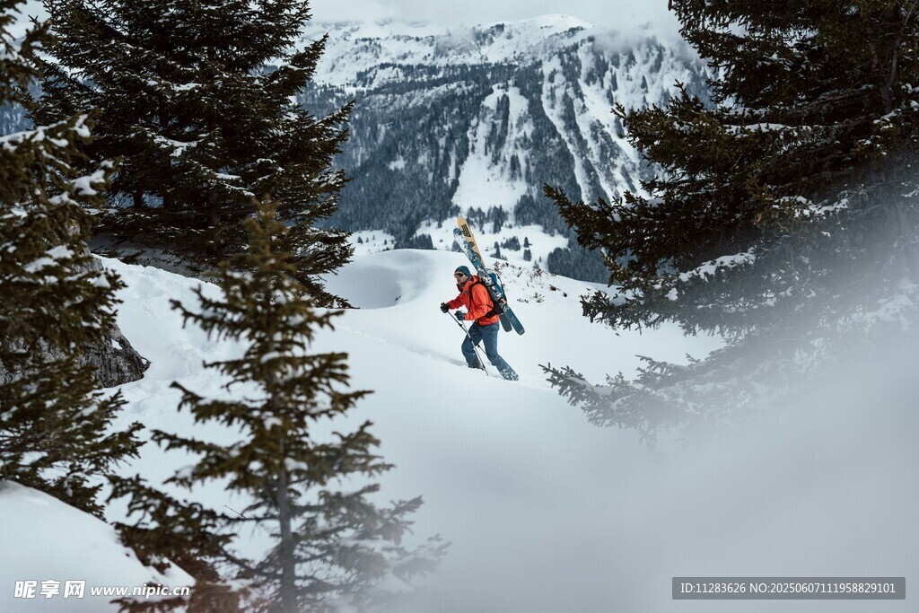 滑雪者穿梭于雪山松林间