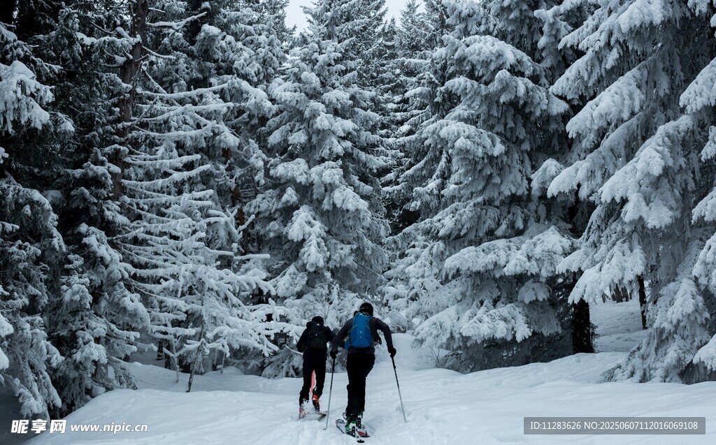 雪地中三人徒步前行