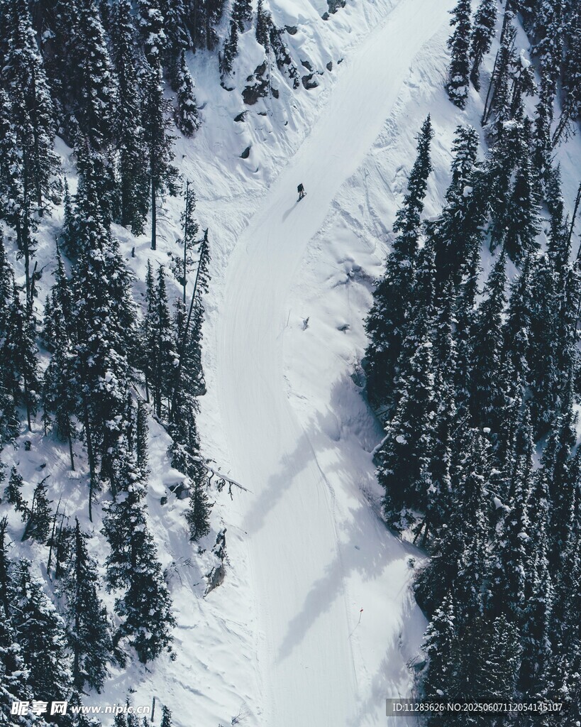 雪覆山林间的滑雪场景