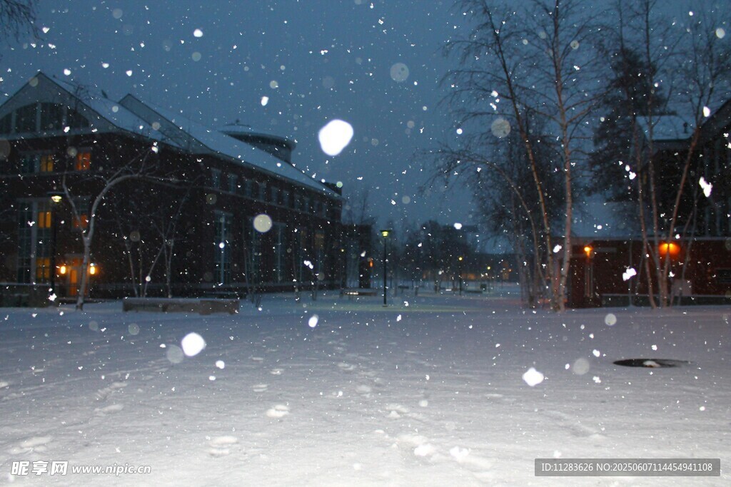 雪夜中的静谧户外景象