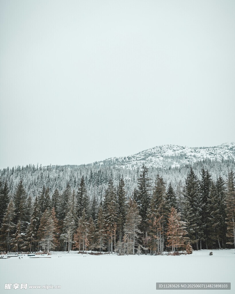 雪覆山林冬日美景