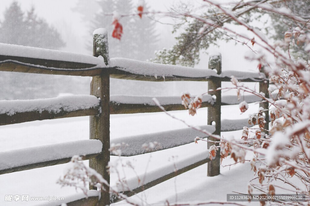雪覆木栅栏 冬日景致