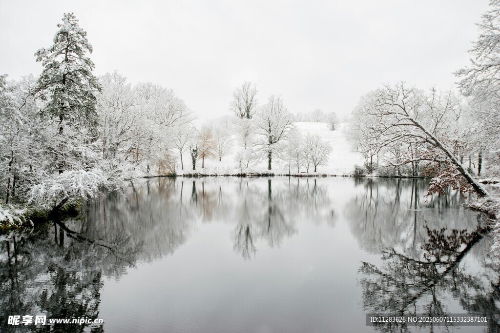 冬日雪覆湖畔静谧美景