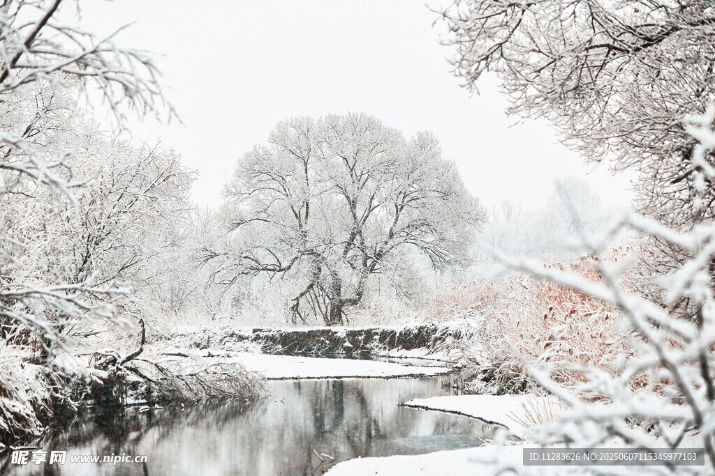 冬日雪景中的静谧河畔