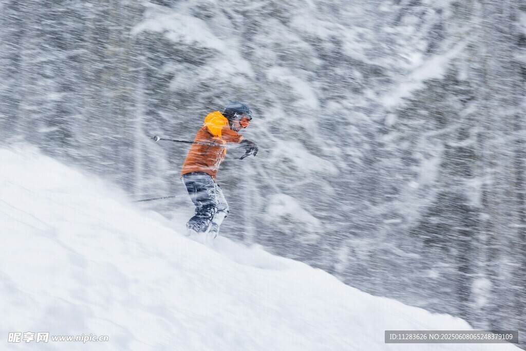 雪地中滑雪的活力身影