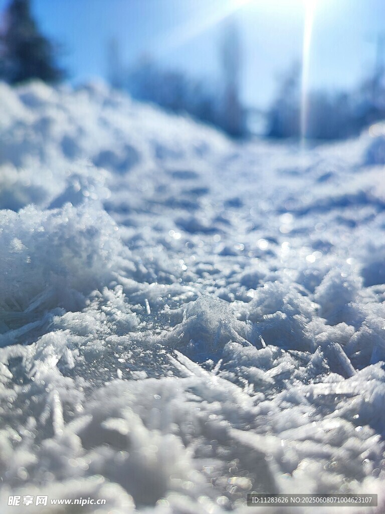 冬日雪地特写