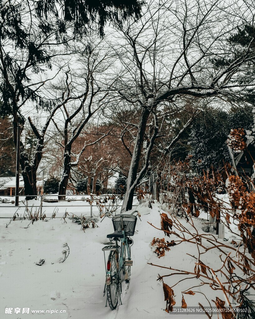 冬日雪景中的自行车与树木