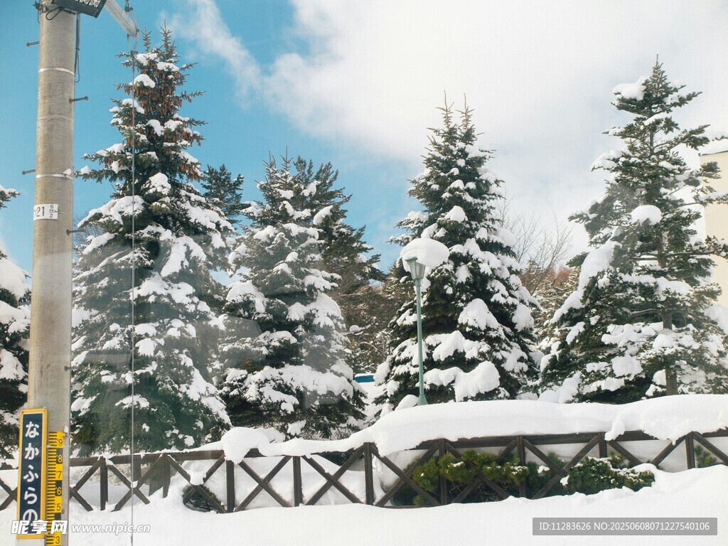 冬日雪景中的树木与围栏