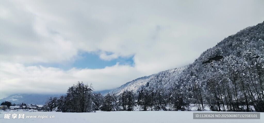冬日雪景中的山林风光