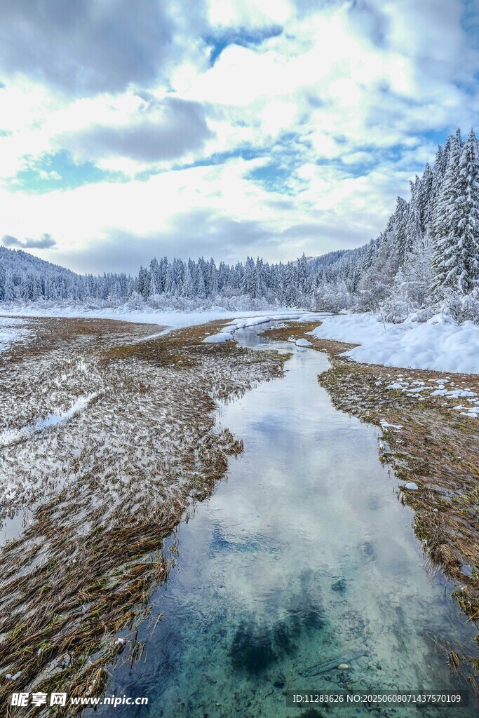 冬日雪野中的清澈溪流