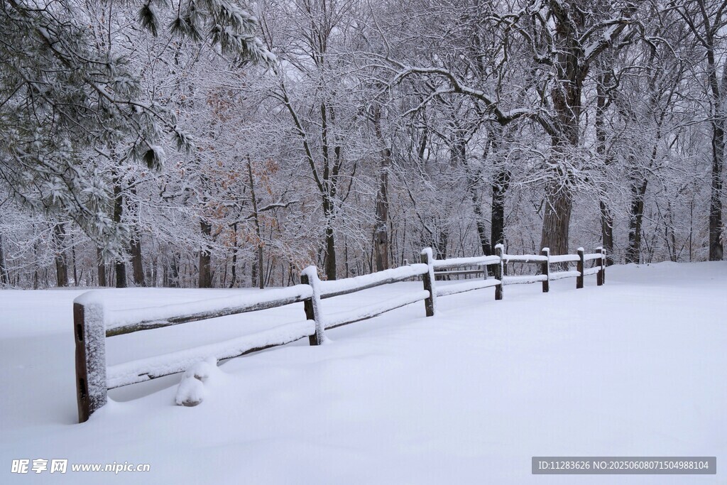 雪覆围栏的静谧冬日景象