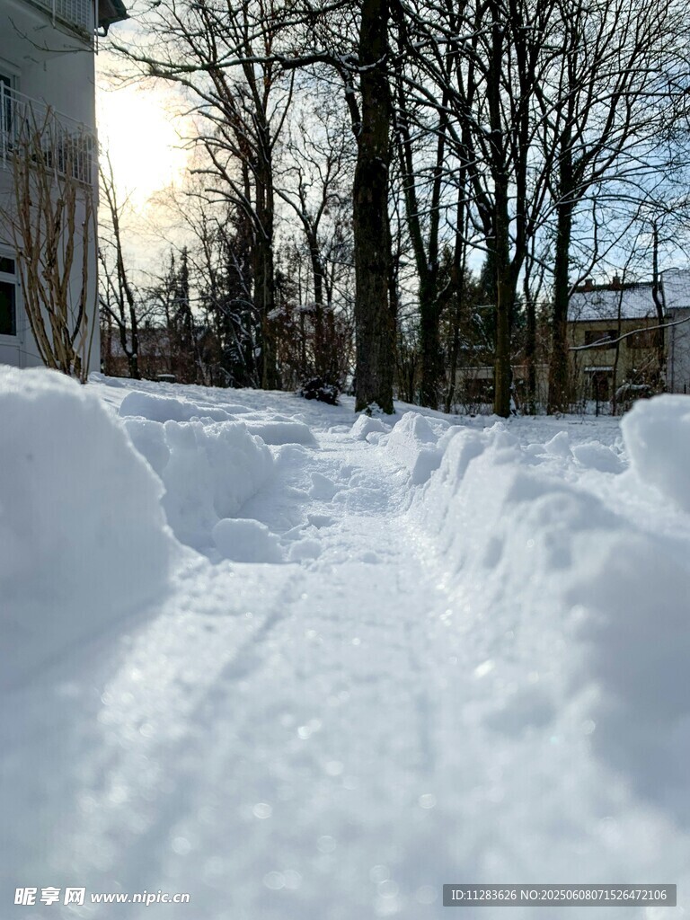 冬日雪景中的积雪小道