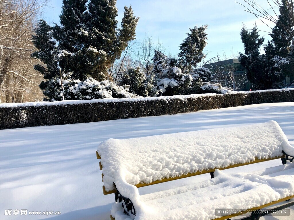 冬日雪景中的长椅