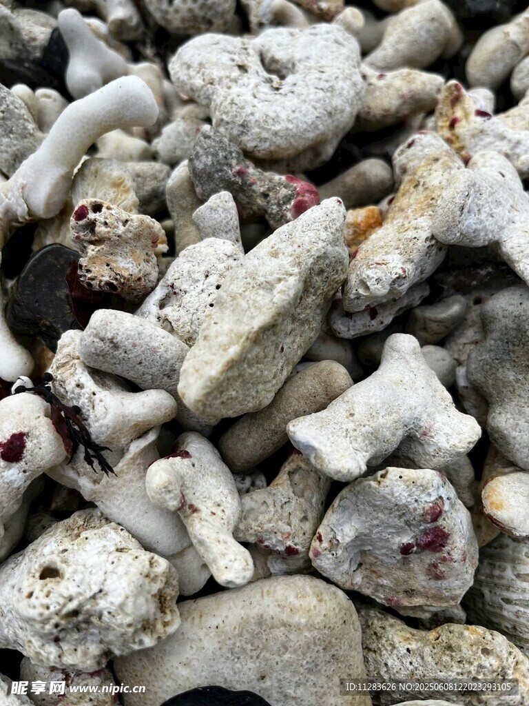一堆形态各异的白色石头