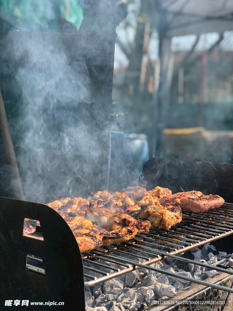 户外烧烤架上的美味烤肉