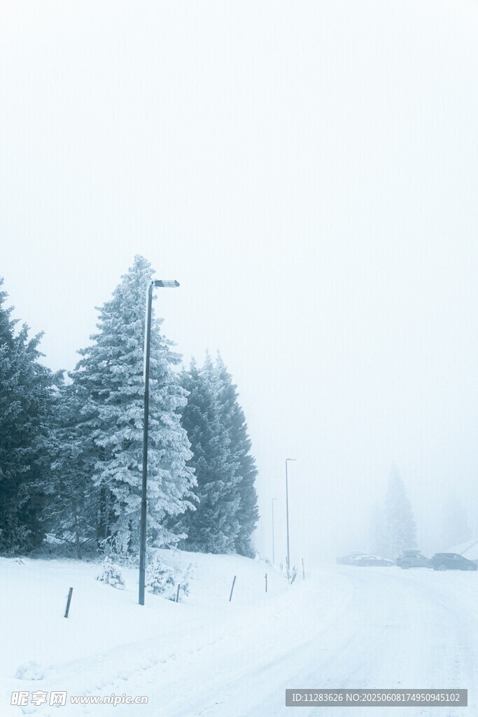 冬日雪景中的静谧林间道路