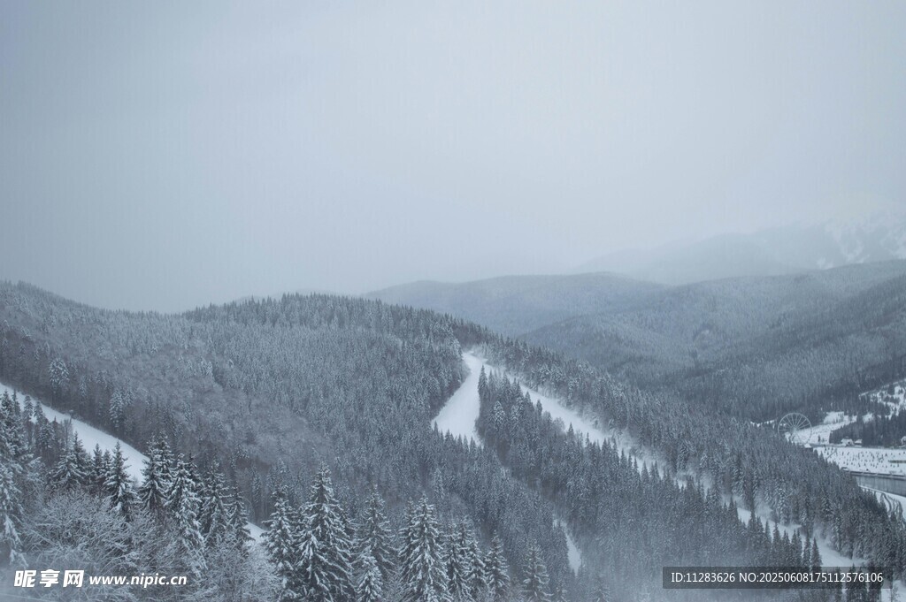 冬日雪覆山林美景