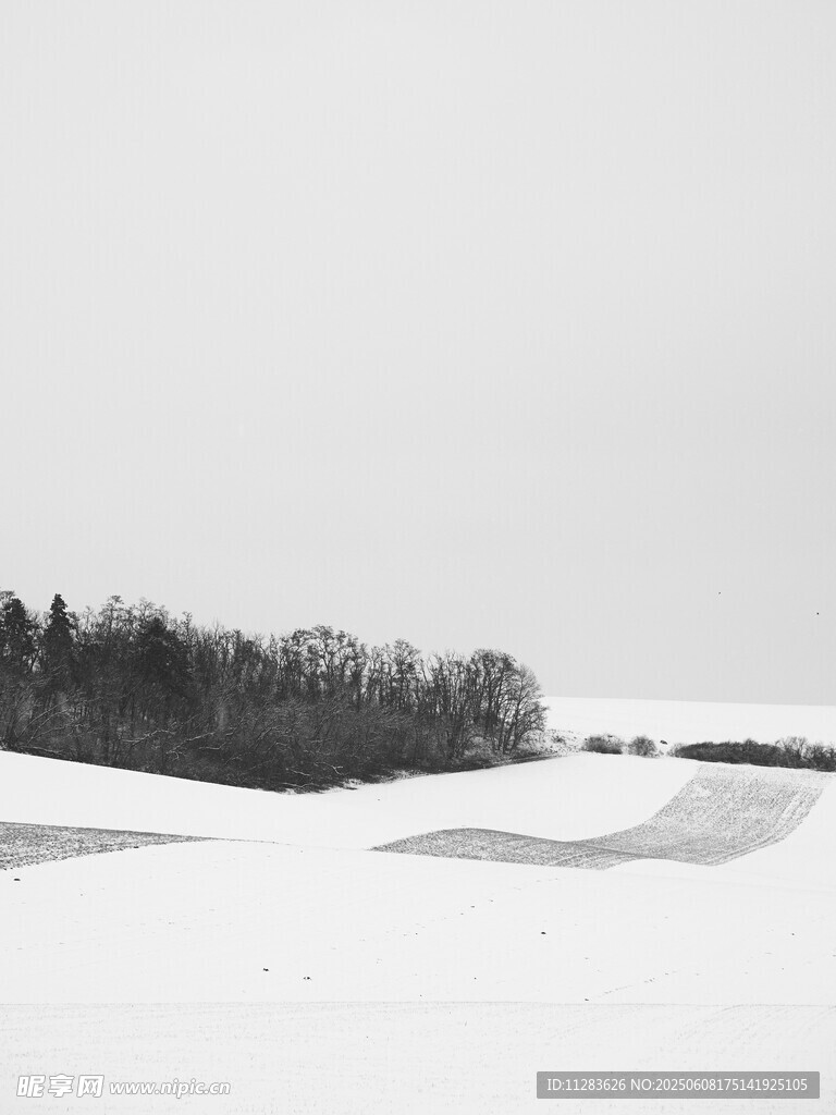 冬日雪野风景