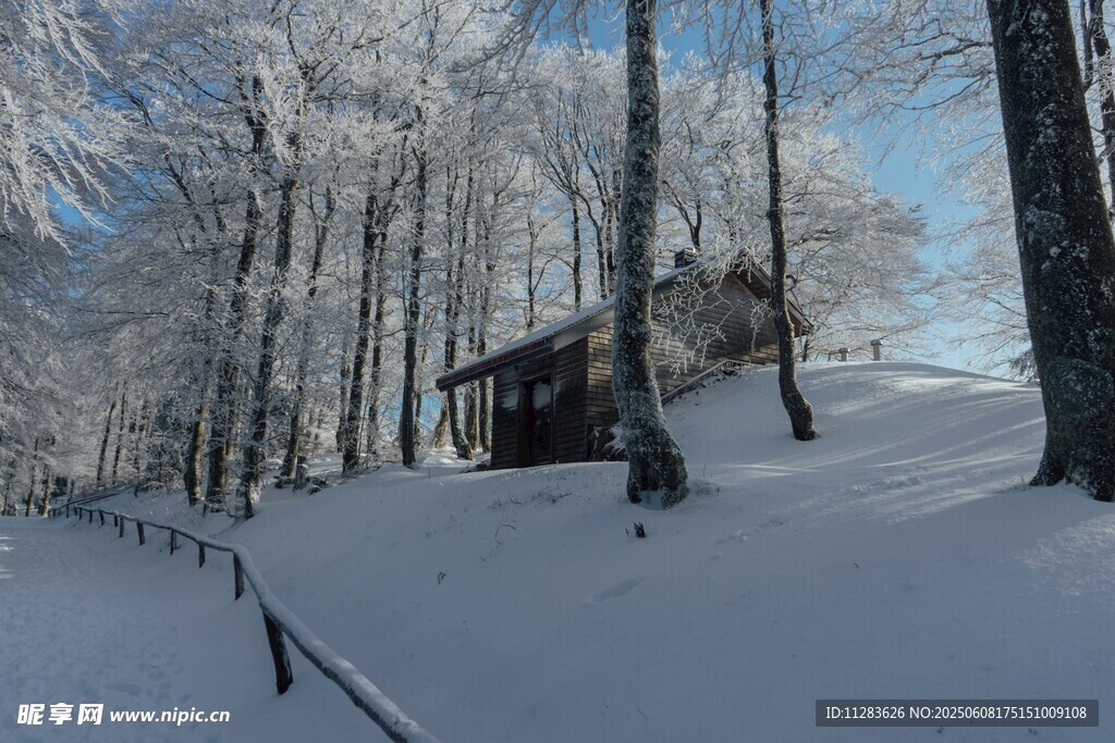 雪覆山林中的静谧小屋