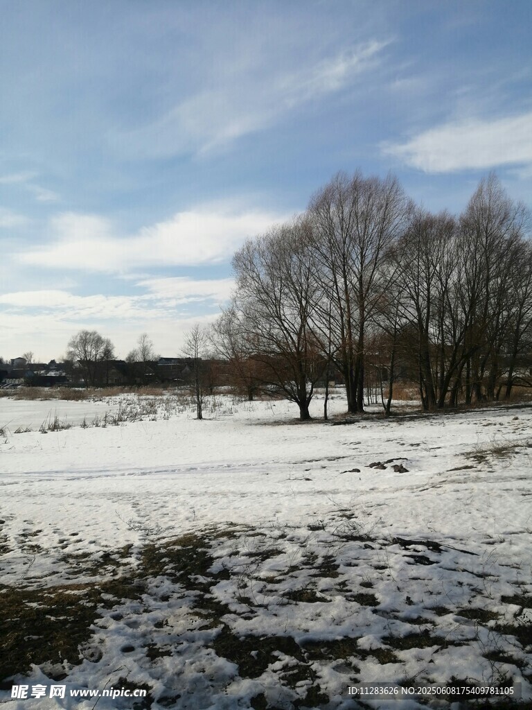 冬日雪野风景