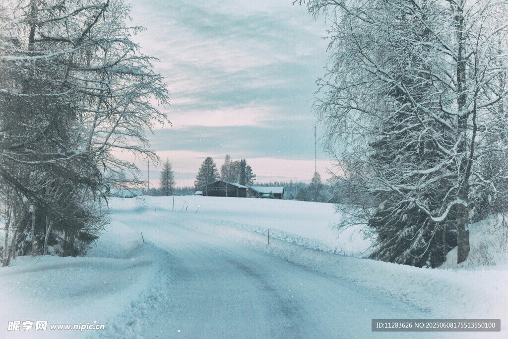 冬日雪路风景