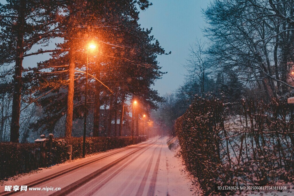 雪夜林间小路暖灯相伴