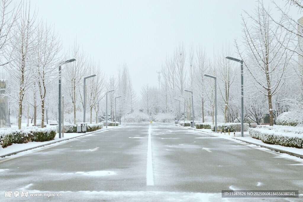 冬日雪后静谧的街道