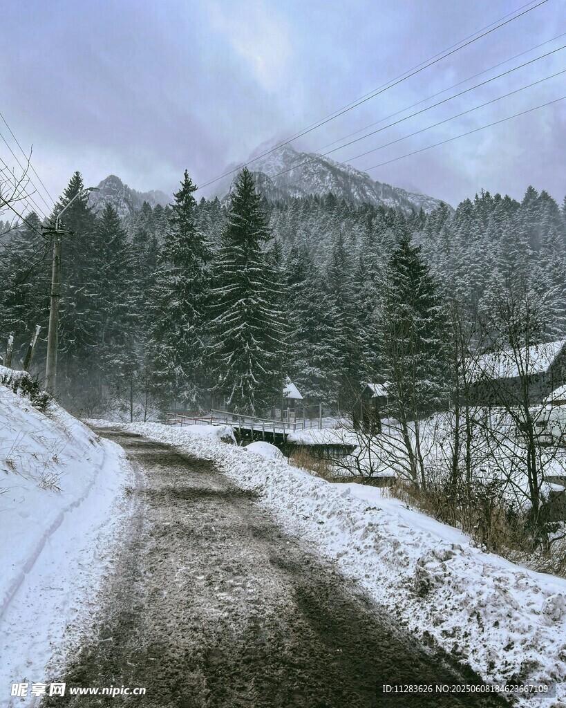 冬日雪覆山林间小路