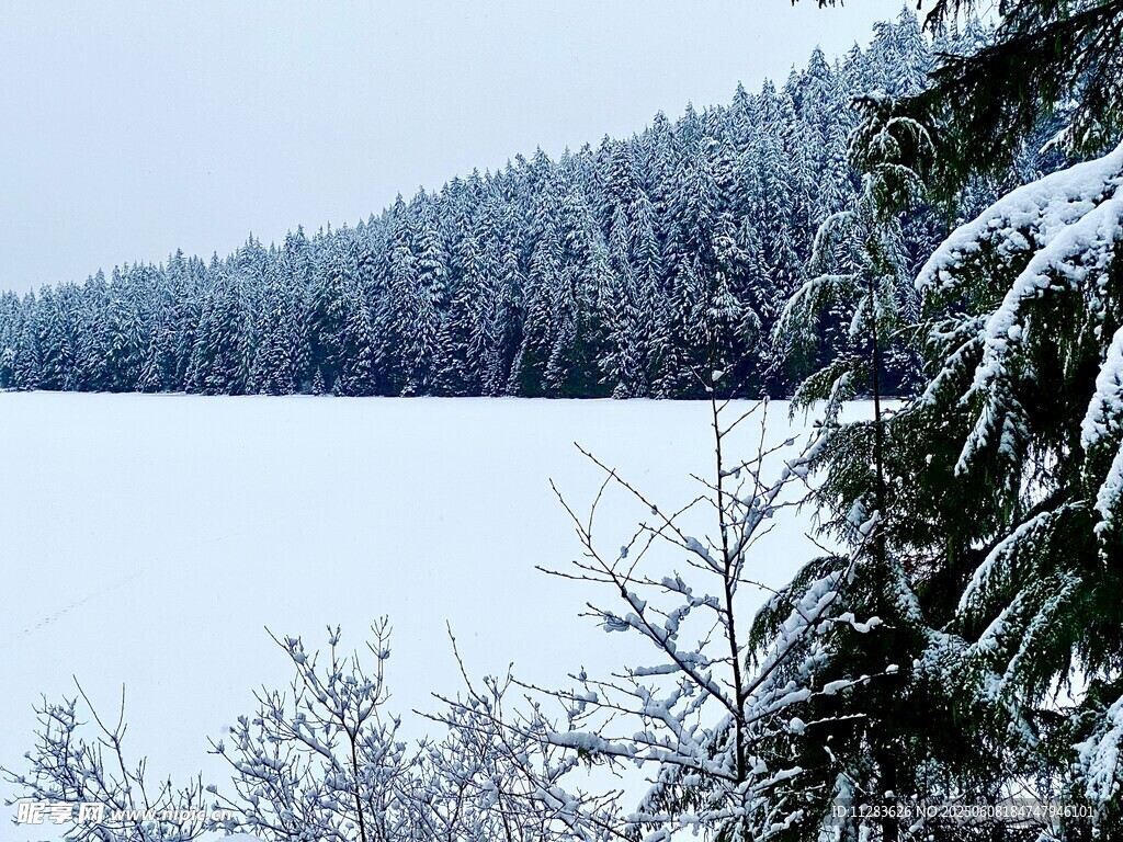 冬日雪覆森林与冰封湖面