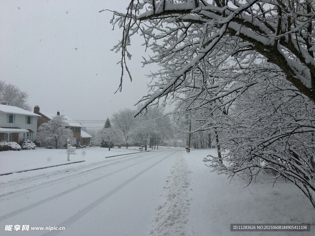 雪后静谧街道景象