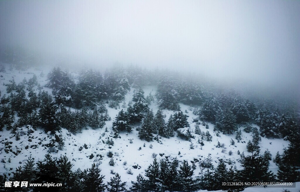 雪覆山林雾霭间
