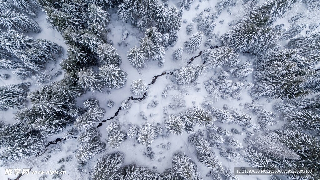 冬日雪景俯瞰图