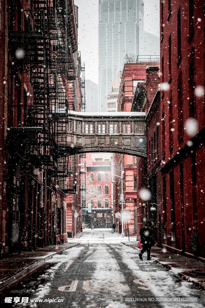 雪后纽约狭窄街道景象