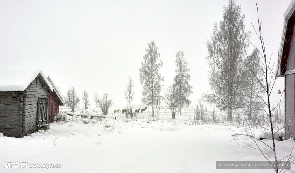雪覆小屋与树木的冬日景