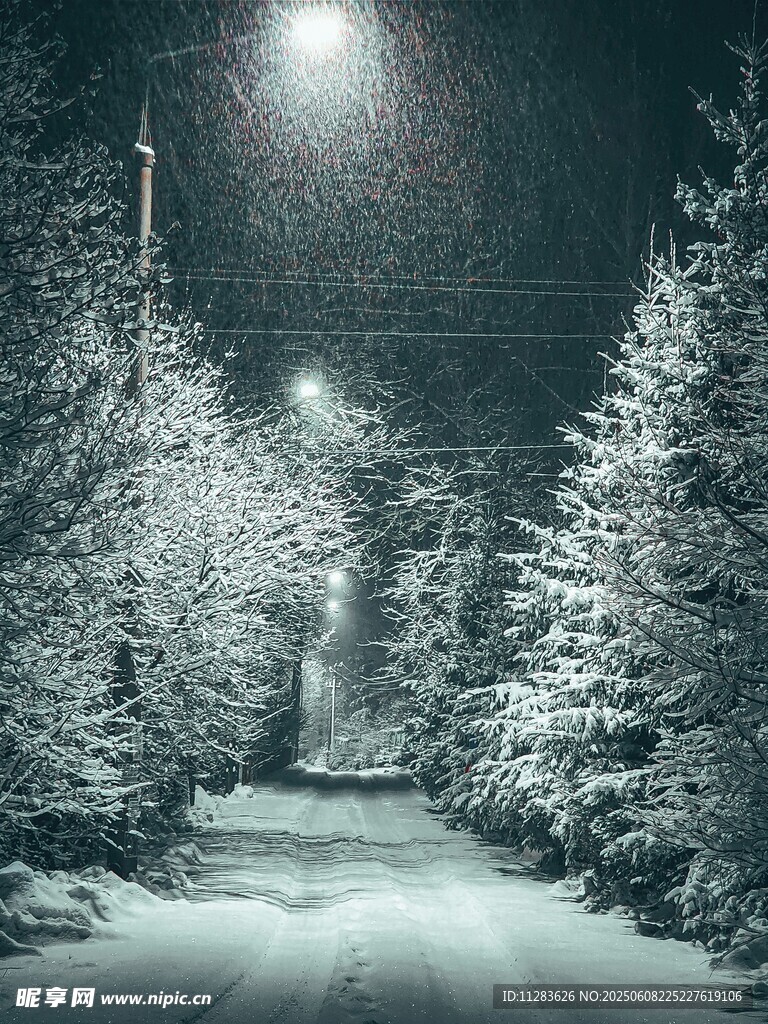雪夜林间小路灯光映照