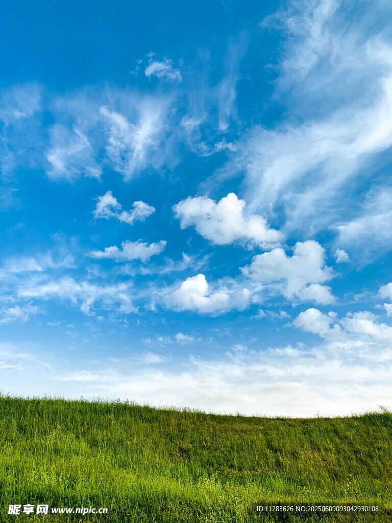 蓝天绿地美景