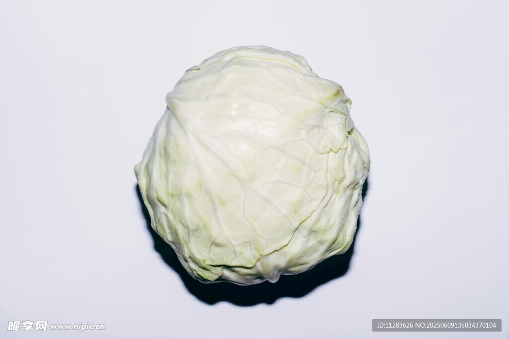 一颗新鲜的圆白菜