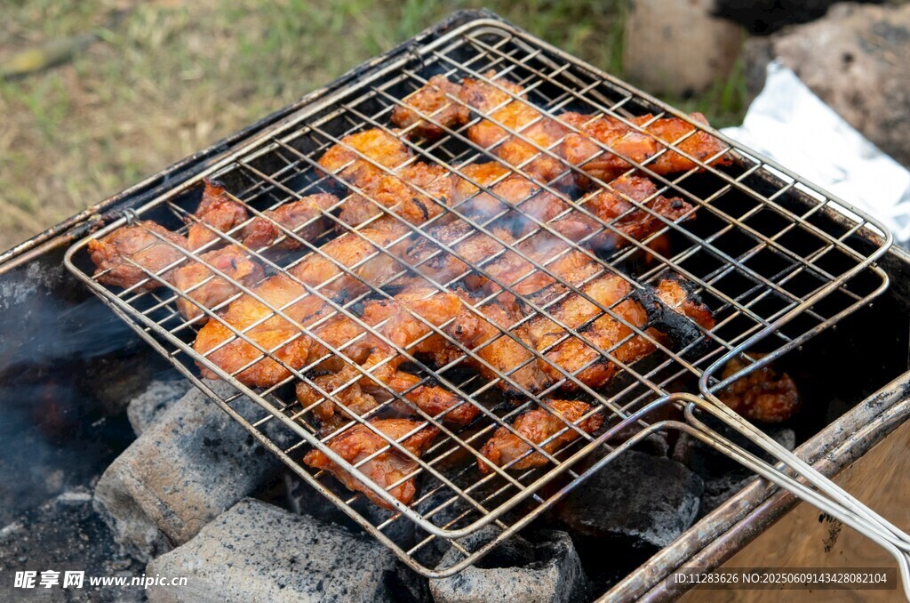 户外烧烤架上的美味烤肉