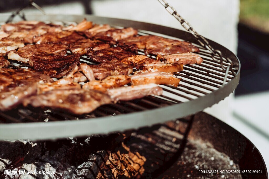 户外烧烤架上的美味烤肉