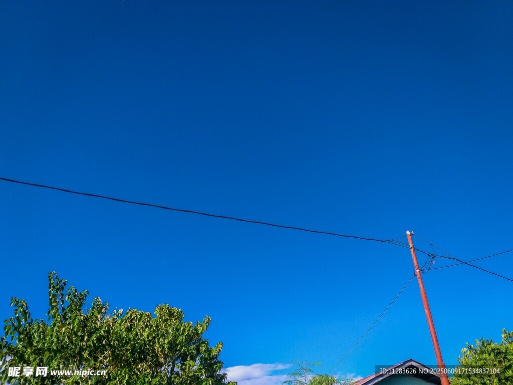 蓝天绿树间的电线杆