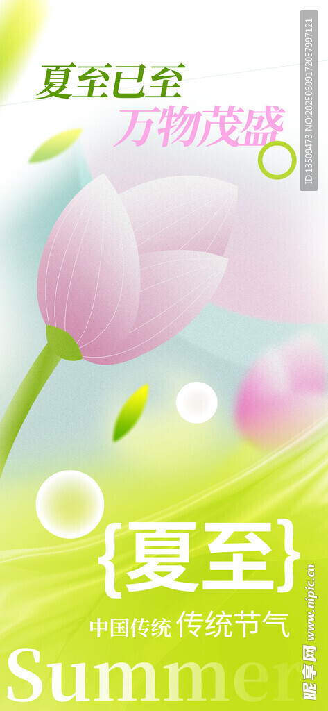 夏至清新海报