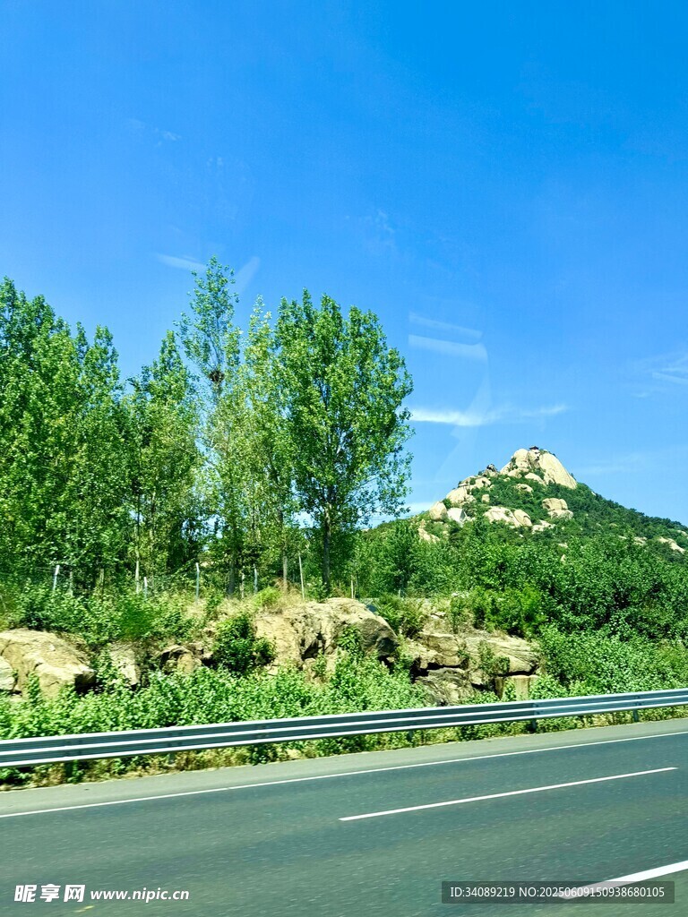 公路旁绿意盎然的自然景致