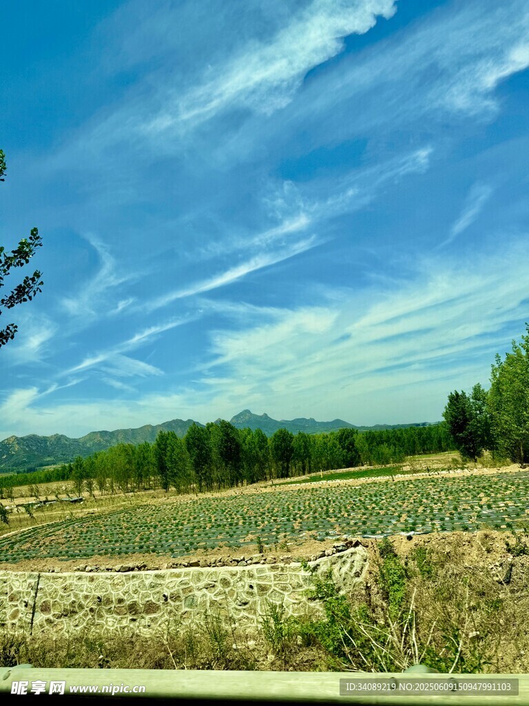田园风光 蓝天白云下的田野